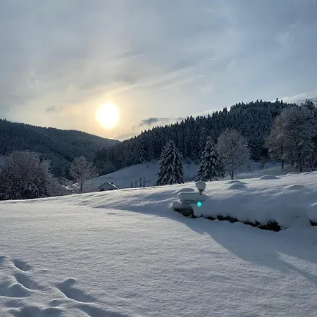 Appartement Zentrale Mit Waldblick *